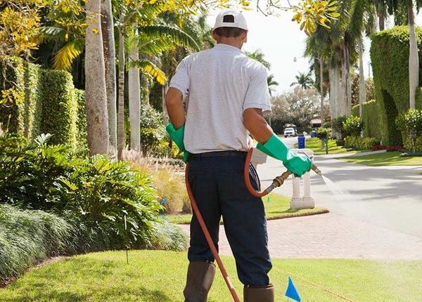 About Follett TX Pest Control